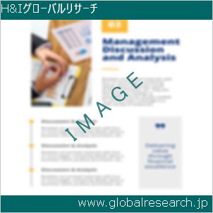 グローバルリサーチ調査レポートのイメージ